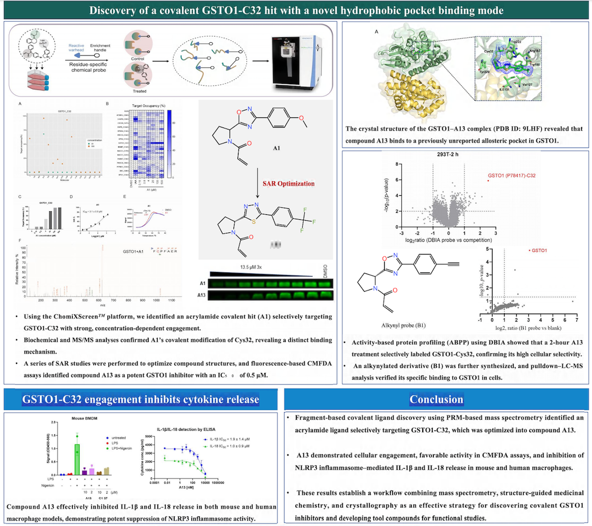 Screenshot 2026-03-18 at 4.09.47 PM